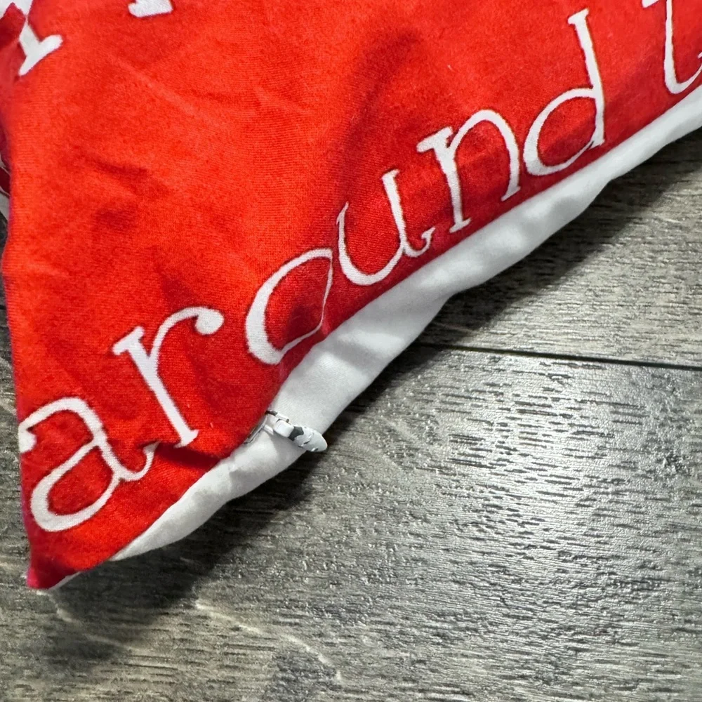 Set‎ of one Throw Pillow and one Throw Pillowcase.